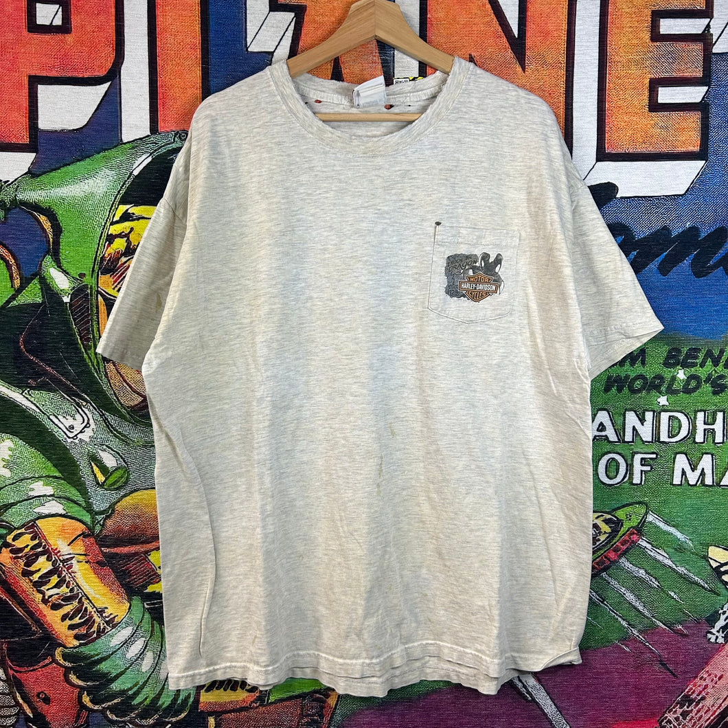 Y2K Harley Davidson Smoky  Mountain Tee Size XL