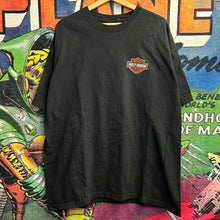 Load image into Gallery viewer, Y2K Harley Davidson Logo Tee Size 2XL
