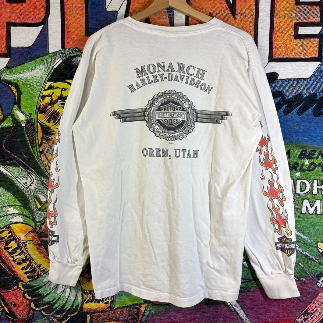 Y2K Harley-Davidson Flames Orem, Utah Tee Size Large
