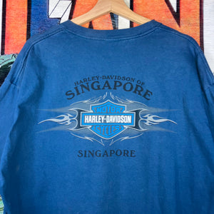 Vintage Y2K 2005 Harley Davidson Singapore Blue Flame Tee Size XL