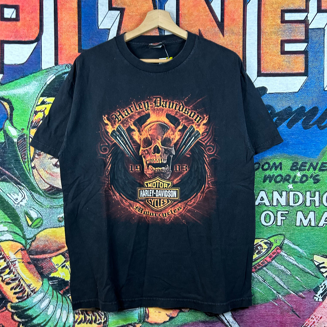 Y2K Harley Davidson Skull Shirt Size Large
