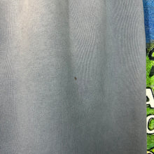 Load image into Gallery viewer, Earthling Chrome Stitch Sweatpants Size Small
