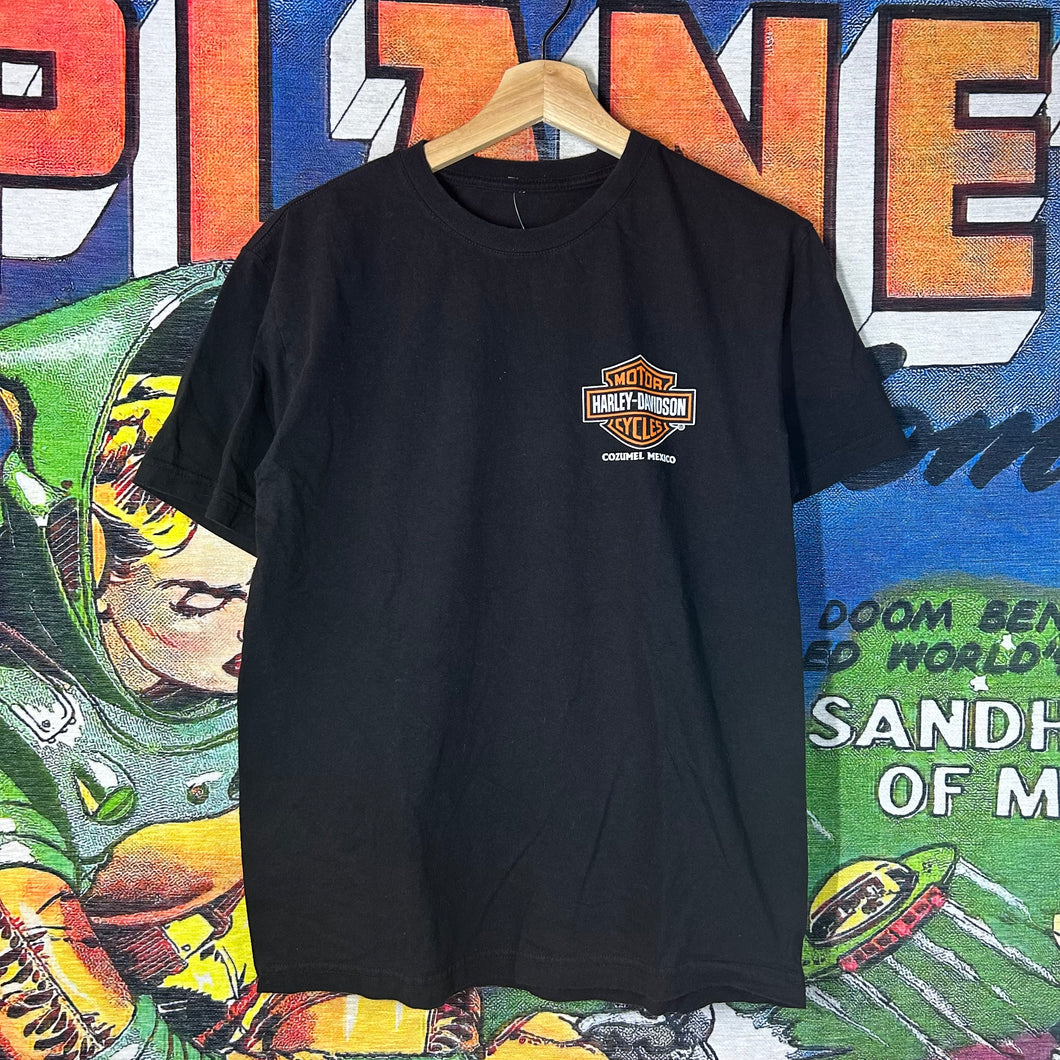 Y2K Harley Davidson Cozumel Mexico Tee Size Medium